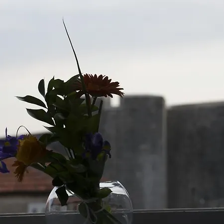 Boutique Dorma 두브로브니크